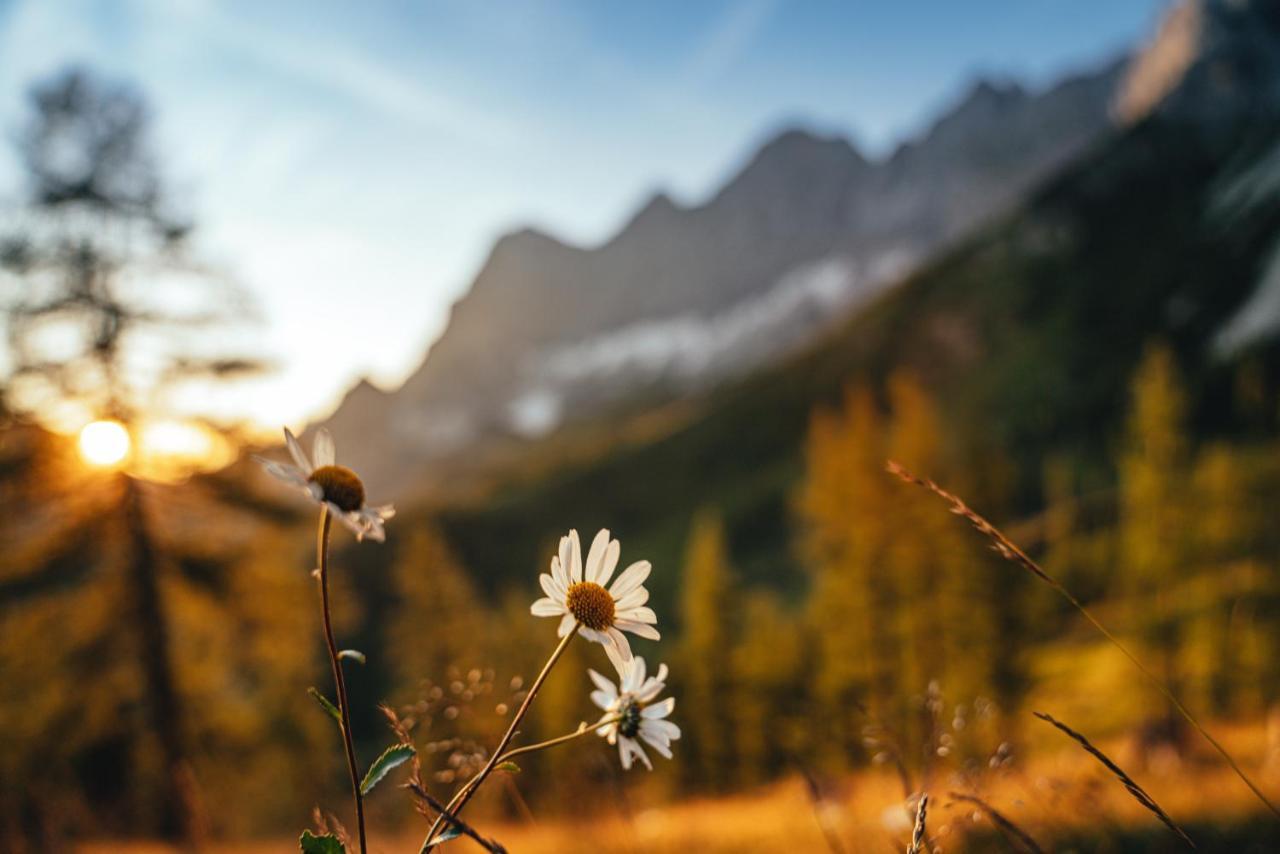 Alma&Antonia Apartman Schladming Kültér fotó
