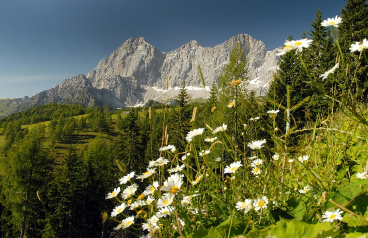 Alma&Antonia Apartman Schladming Kültér fotó